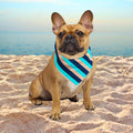 Blue Stripe bandana with navy, turquoise and sand stripes worn by a dog on a sandy beach.