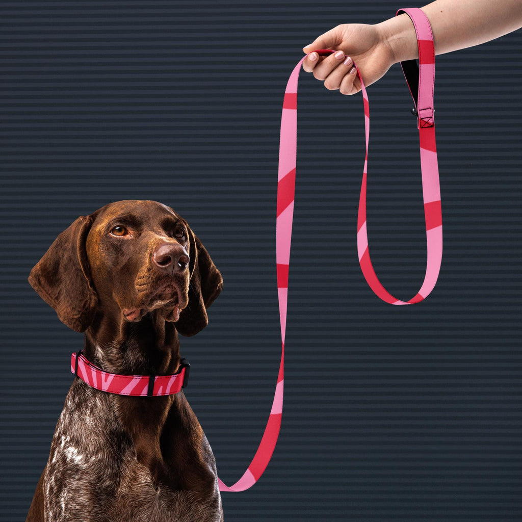 Pink Zebra dog collar and leash set worn by a brown dog with the matching leash held above.
