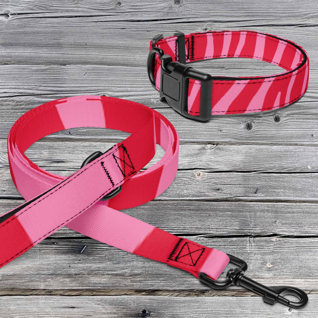 Pink Zebra dog collar and leash set with pink and red stripes, a black buckle and metal leash clip.