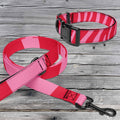 Pink Zebra dog collar and leash set with pink and red stripes, a black buckle and metal leash clip.