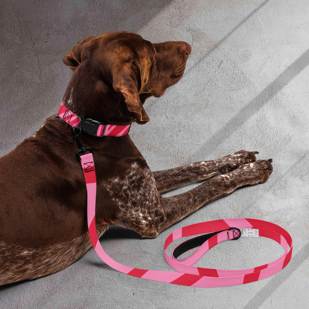 Pink Zebra dog collar and leash set worn by a brown dog lying down, with the matching leash beside it.